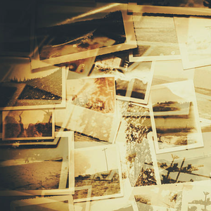 人与另类Z0Z❌❌XHD
